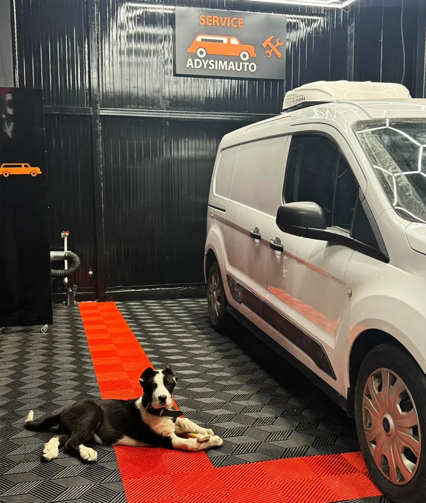 adysim auto service ilfov bucuresti parc auto